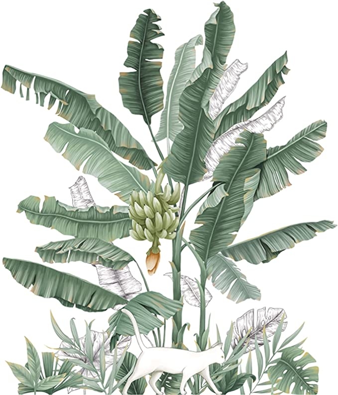 Vinilo decorativo - Planta de banano