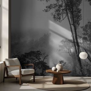 Papel Pintado - Árboles Bosque Brumoso