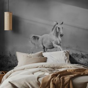 Caballo Salvaje Papel Pintado