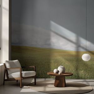 Papel Pintado - Campo Nublado