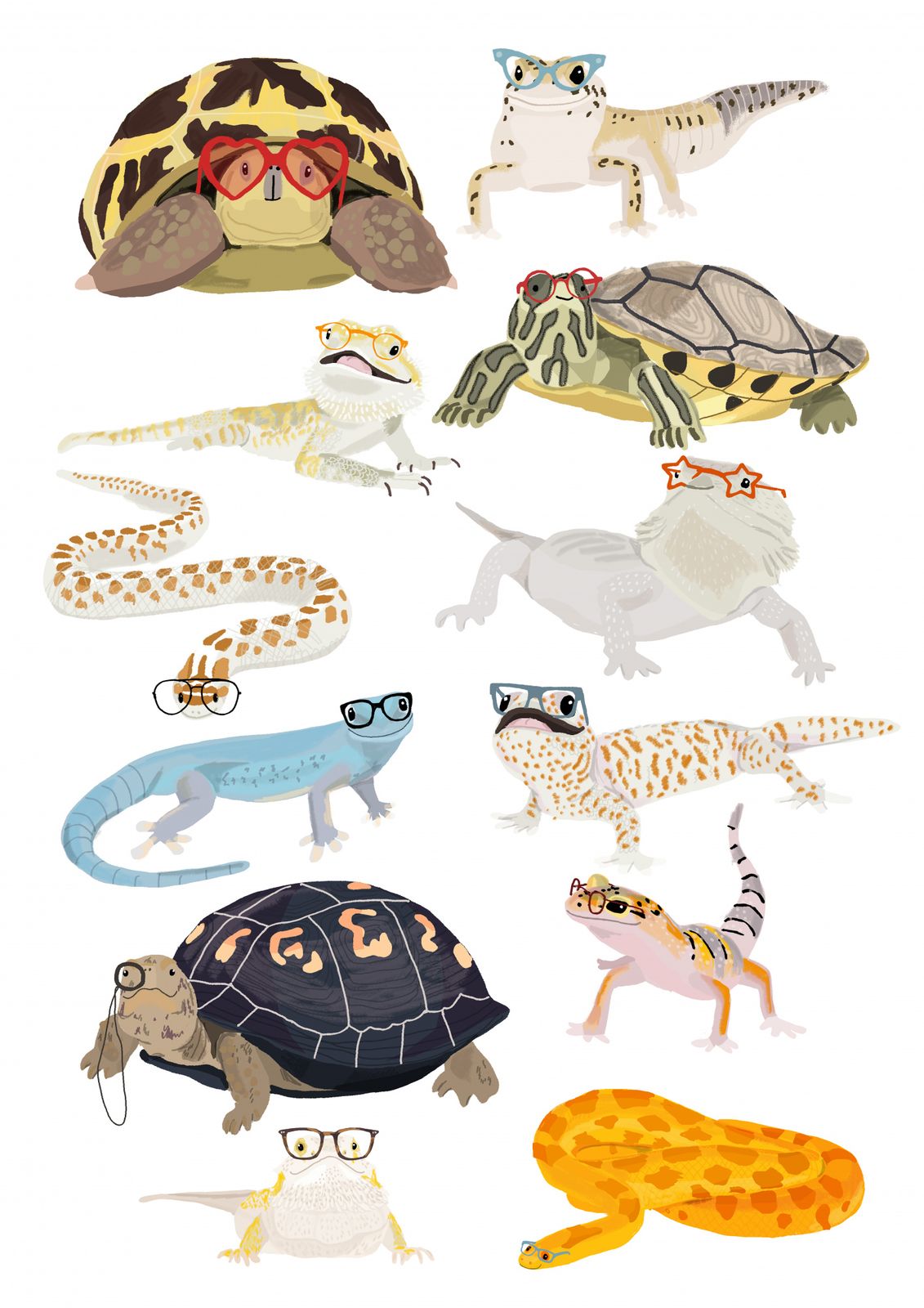 Póster - Animales con Gafas