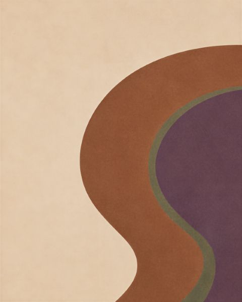 Póster - Curvas Abstractas