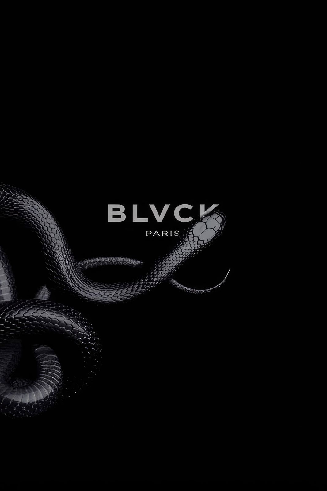Póster - Diseño de Serpiente Negra