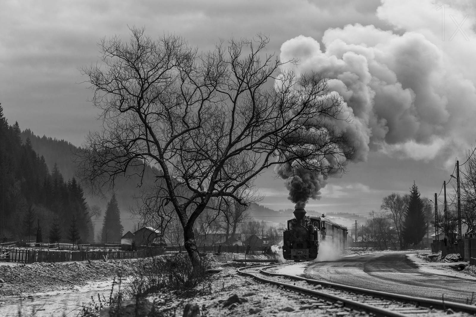 Póster - Tren En Paisaje Brumoso